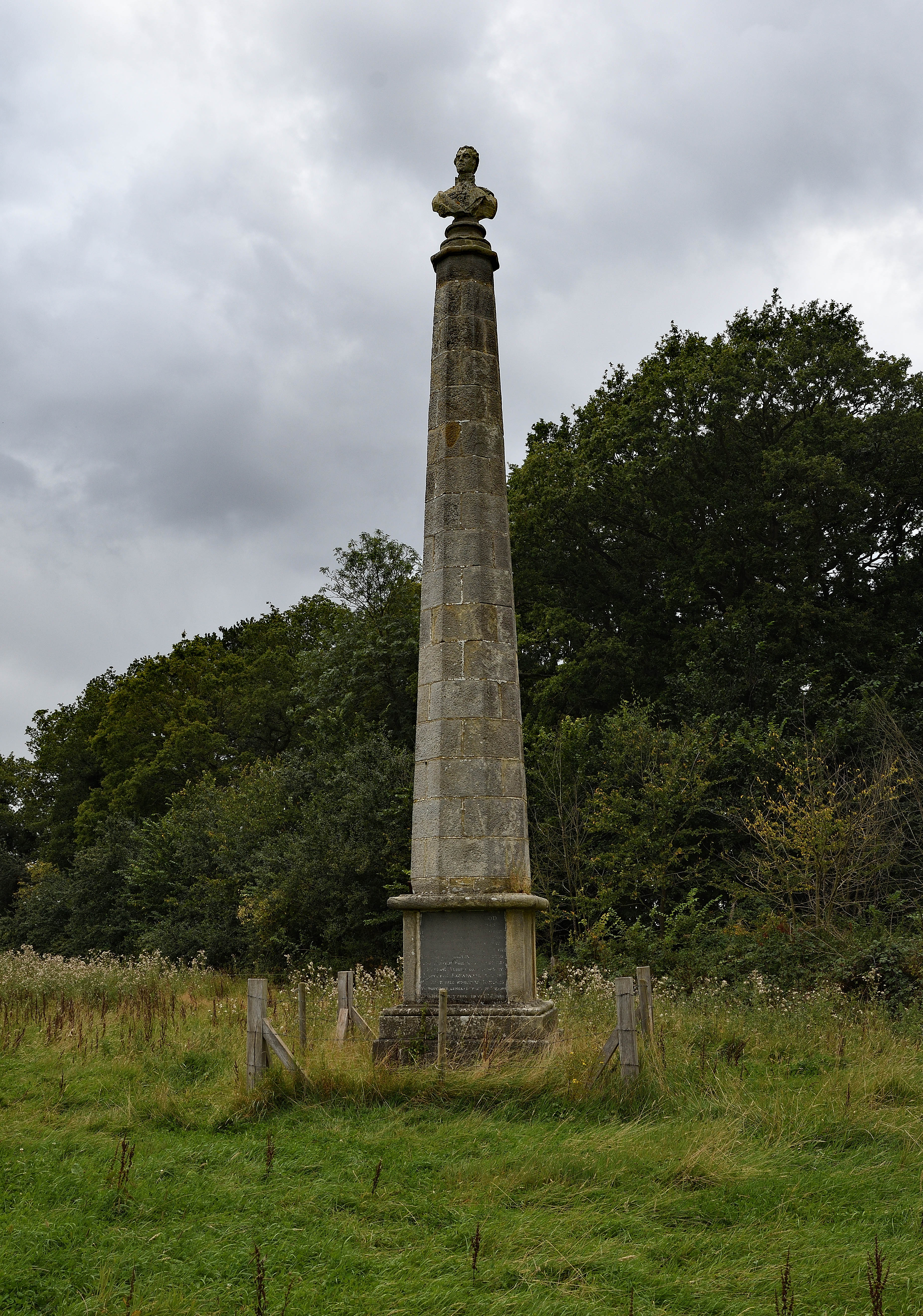 Wellington Monument and Waterloo Wood