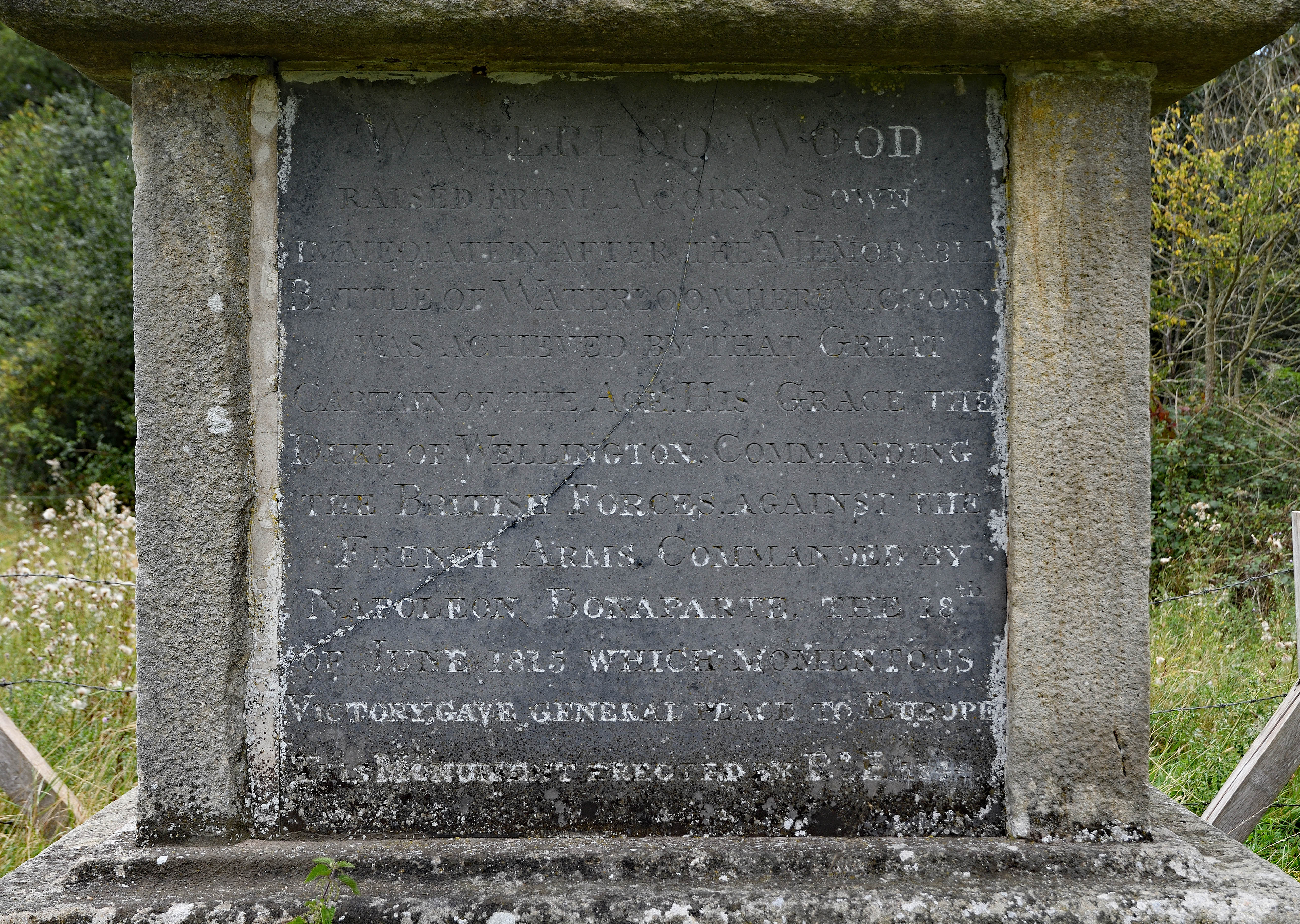 The inscription on the genuine Wellington Monument