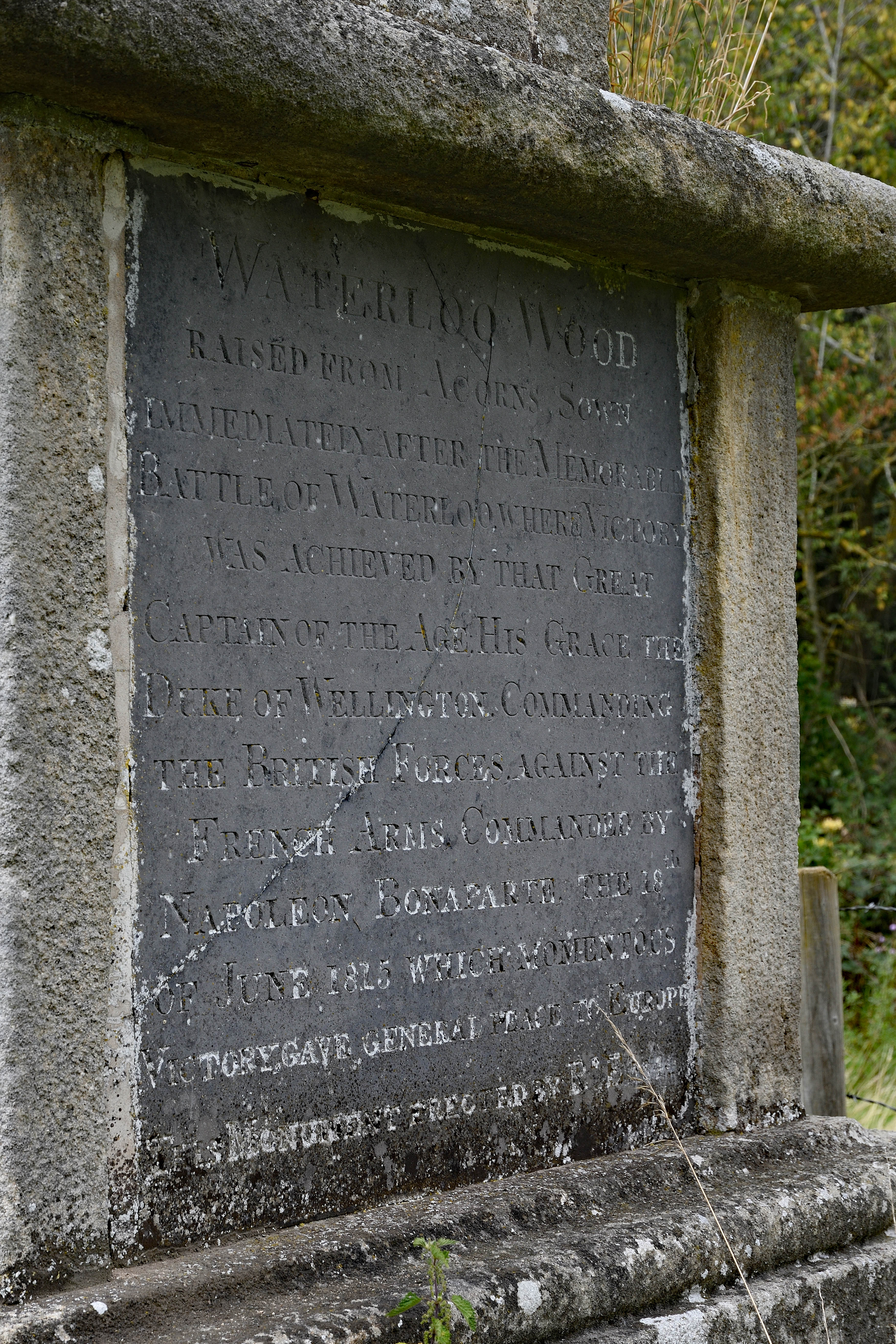 An oblique view of the Wellington Monument inscription