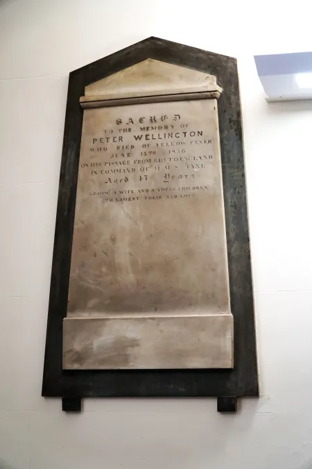 Peter Wellington