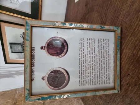Images of the Nelson Medallions and explanation.