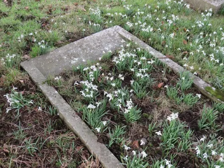 The headstone on the family grave