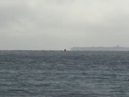 The Buoy