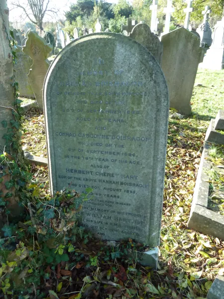 David Ayling Nov 2017
