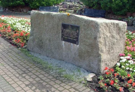 Overall View