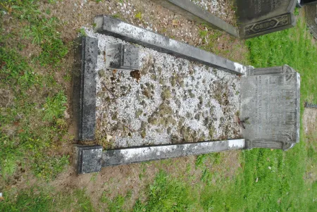 Bertram D Livingstone
