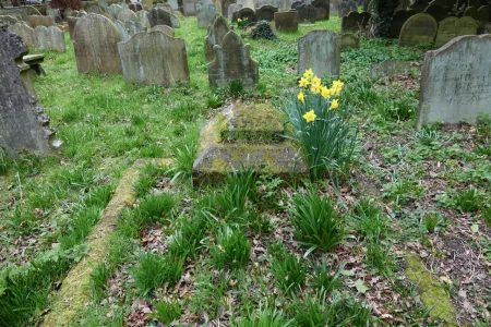 The grave