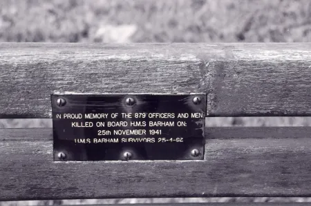 Plaque