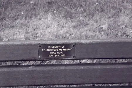 Plaque