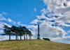 Hilltop column with trees alongside