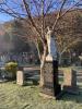 Andrew family gravestoen cemetery setting