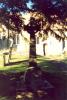 Celtic cross