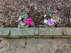 Stones dedicated to L G Horne & A Seager