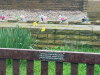 Names on the bench