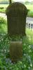 The marker in front of the family gravestone