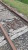 Railway spikes and tools on railway.