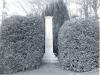monochrome picture of column