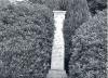 monochrome picture of column