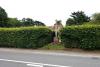 Roadside cross in hedgerow