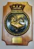 The plaque
