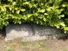 Granite family gravestone surrounded by foliage