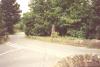 Obelisk on roadside