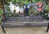 Full view of donated bench