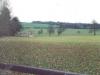 Sports field