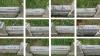 Close up of each individual name on the mass grave from Appleton to Chantler
