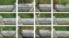 Close up of each individual name on the mass grave from Freestone to Jarrett