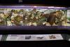 Embroidery panels depicting different phases of DDay