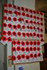 Poppy name Boards