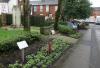The Memorial Garden