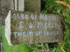 Upper section of NES Risely inscription