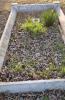 A family kerbed grave with the name of the remembered inscribed on one of the kerbs.