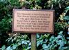 Plaque