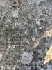 Detail of inscribed names 