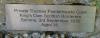 TP Clark plaque