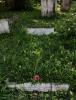 Full grave
