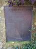Plaque - Close Up
