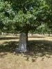 memorial in context