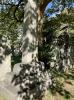 Cemetery setting