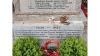 WW2 Names