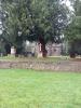 Churchyard view showing stone memorial cross on inscribed plinth and remembrance poppy wreath