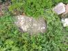 Rough hewn stone with initials C H S on grassy verge