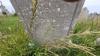 WG & WR Witt additions to gravestone