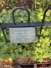 Plaque on garden railing.