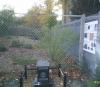 site