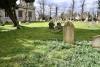 Memorial image thumbnail