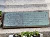 Plaque